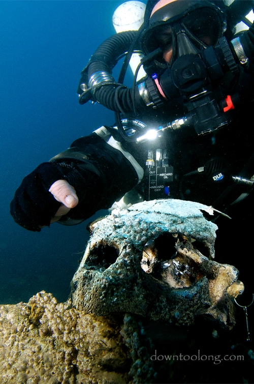 Sue checks out a large turtle skull on the wreck of the LANCING